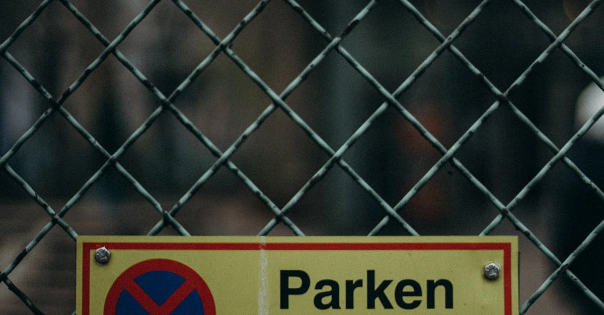 Анализ немецкой цифровой игорной индустрии и регулятивных аспектов